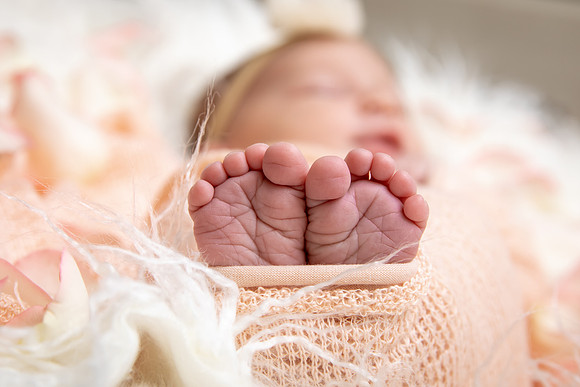 Holly newborn-18