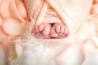 Holly newborn-19